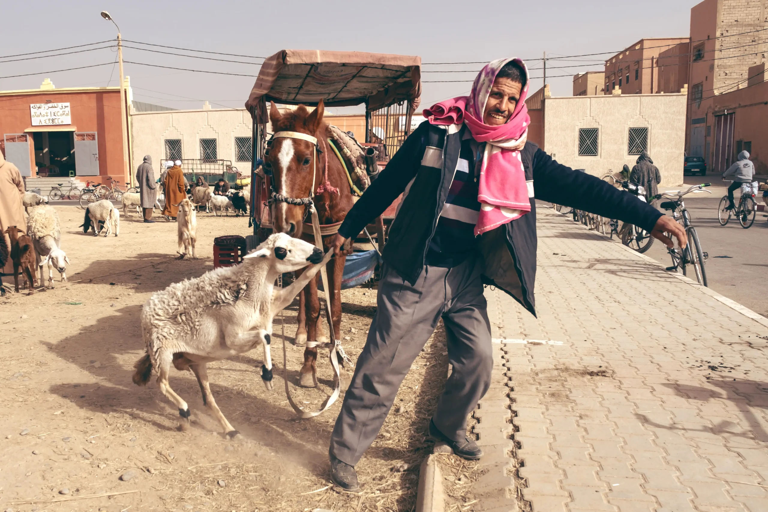Luis Gómez - Documentary photographer - Livestock buyer